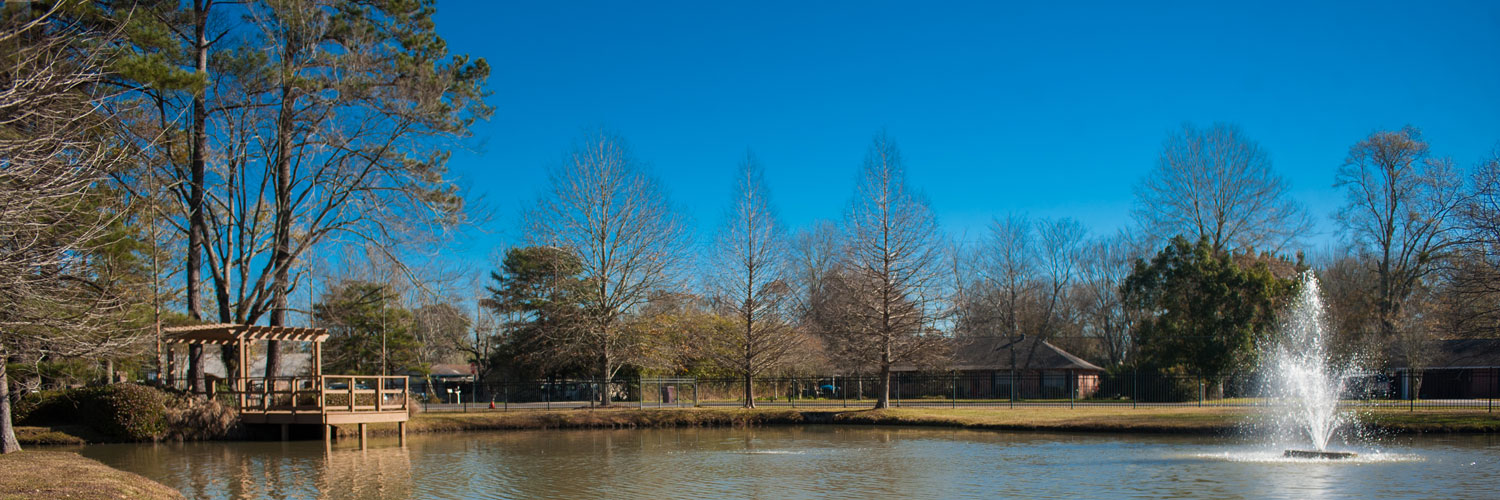 large pond with fountain